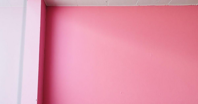 Aditivo Antimofo para Tinta: 5 Dicas Imperd&iacute;veis