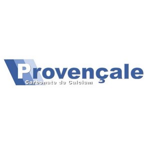 Cargas minerais para tintas