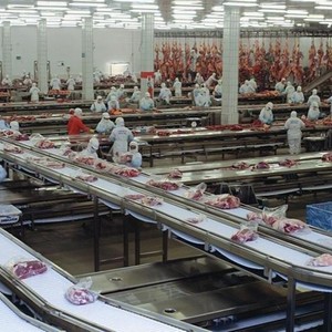 Fabricante de pisos para frigorifico